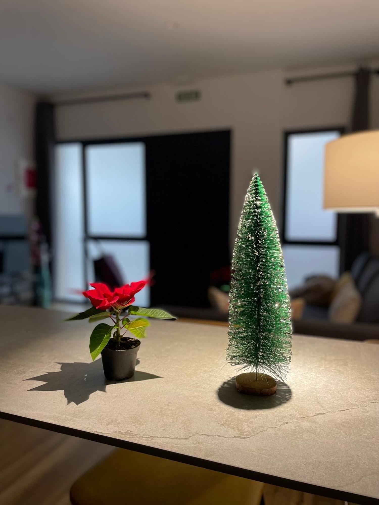 Junto Al Jardin Del Turia Apartamento Walencja Zewnętrze zdjęcie